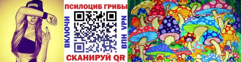 Псилоцибиновые грибы MAGIC MUSHROOMS даркнет сайт Новочебоксарск